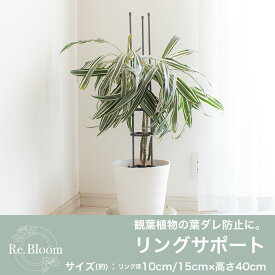 【楽天スーパーセール限定！最大3,000円OFF】【さらに！ポイント5倍】daim Re.Bloom リングサポート 観葉植物 支柱 葉ダレ 防止 倒れ防止 全2規格 リング 支柱 モンステラ ポトス アイビー 鉢 プランター おしゃれ 植物 サポート タワー フェンス 園芸 ガ