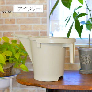 yJ[N×daim R{zdaim W[̒Bl 5L Iׂ2F Xg[O[ AC{[  K[f |pi K[fjO  ؉ | ܂ 엿 WE 傤 T