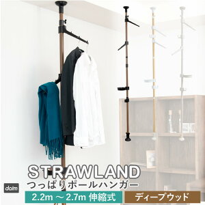 daim ς|[nK[ Xg[h S3F |[nK[ ˂_ ς_ nK[bN R[g R[gnK[ m|  Jo 