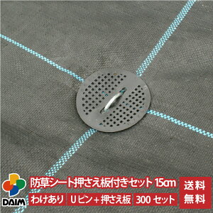 daim hV[gtZbg Us15cm 300Zbg 󂠂i | h G΍ hV[g s   K[fjO ƒ؉ V[g Œ 