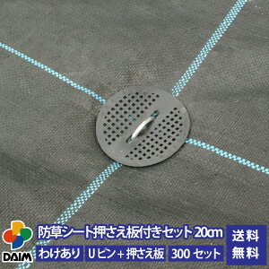 y10 P2{zdaim hV[gtZbg Us20cm 300Zbg 󂠂i | h G΍ hV[g s   K[fjO ƒ؉ V[g Œ 