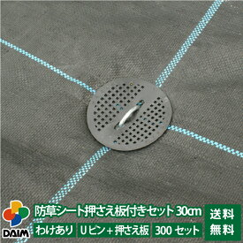 【4月限定ポイント2倍！】daim 防草シート押さえ板付きセット 剣先Uピン30cm 300セット入 訳あり品 園芸 防草 雑草対策 防草シート ピン 押さえ おさえ ガーデニング 家庭菜園 用品 用具 シート 固定 送料無料