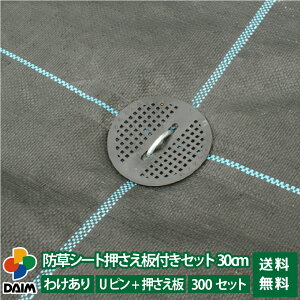 daim 防草シート押さえ板付きセット 剣先Uピン30cm 300セット入 訳あり品 園芸 防草 雑草対策 防草シート ピン 押さえ おさえ ガーデニング 家庭菜園 用品 用具 シート 固定 送料無料