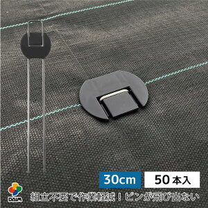 daim 炭炭V[gs tbg^Cv  30cm 50{ hV[gs hV[gߋ hV[gs Œ hV[g s s hs }`  h 