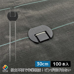 daim らくらくシート押さえピン フラットタイプ 長さ30cm 100本入 防草シート押さえピン 防草シート留め具 防草シートピン 固定 防草シート ピン 押さえピン 防草ピン マルチ 押さえ 防草 留め