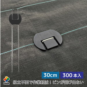 yN[|ōő3,000~OFFzy11 P2{zdaim 炭炭V[gs tbg^Cv 30cm 300{ hV[gs hV[gߋ hV[gs Œ hV[g s 