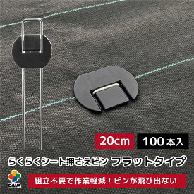 daim らくらくシート押さえピン フラットタイプ 長さ20cm 100本入 防草シート押さえピン 防草シート留め具 防草シートピン 固定 防草シート ピン 押さえピン 防草ピン マルチ 押さえ 防草 留め具