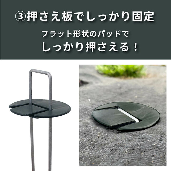 楽天市場】daim インテグアンカー プロ 長さ20cm 100本入 太い 剣先 防 
