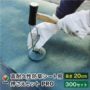 y11 P2{zdaim ϋvhV[gpZbg v 20cm a4mm R̎s 300Zbg   hV[g s }`   hV[g V[g ڂ[ h