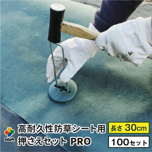 y11 P2{zdaim ϋvhV[gpZbg v 30cm a4mm R̎s 100Zbg   hV[g s }`   hV[g V[g ڂ[ h