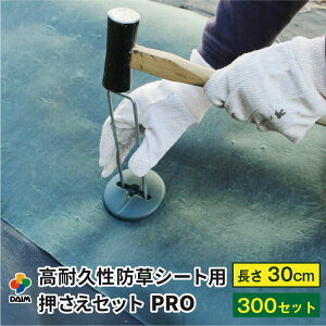 daim ϋvhV[gpZbg v 30cm a4mm R̎s 300Zbg   hV[g s }`   hV[g V[g ڂ[ h[ G