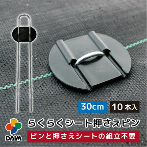 yGg[őSiP5{IzyN[|ōő3,000~OFFzy10 P2{zdaim 炭炭V[gs 30cm 10{ hV[gs Œ hV[g s s hV[gs