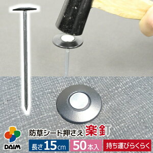 daim hV[g yB 15cm 50{ hV[gŒs hV[g B Œ s hs B | G΍ Œ ߋ  Zbg Œs s hV[g 