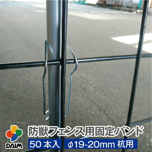 yN[|ōő3,000~OFFzdaim hbtFXpŒoh a19-20mmp 50{ oh x Œ b b悯 hb hbtFX hbO lbgݒu  pi b΍