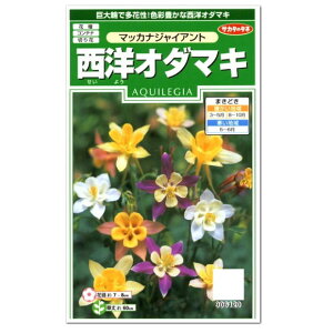 多年草 切花の人気商品 通販 価格比較 価格 Com