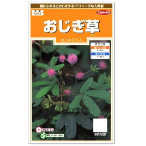種 オジギソウの通販 価格比較 価格 Com