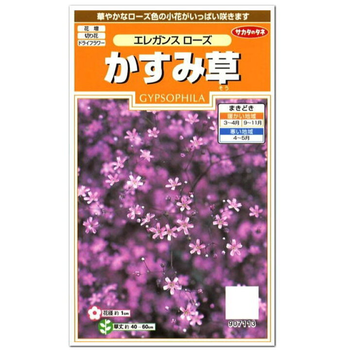 楽天市場 サカタのタネ エレガンスローズ かすみ草 種 花壇 プランター 切花 切り花 たね かすみそう ギプソフィラ ガーデニング ガーデニングと雑貨の菜園ライフ