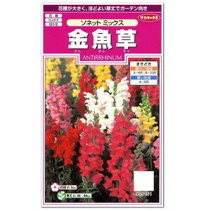 TJ^̃^l \lbg~bNX   Ԓd v^[ ؉  K[fjO