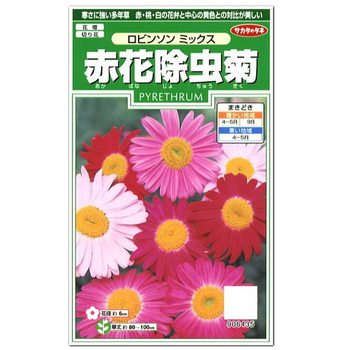 楽天市場 サカタのタネ 赤花除虫菊 ロビンソンミックス 種 花壇 切花 切り花 たね じょちゅうぎく タネ ガーデニング キク科 多年草 ガーデニングと雑貨の菜園ライフ