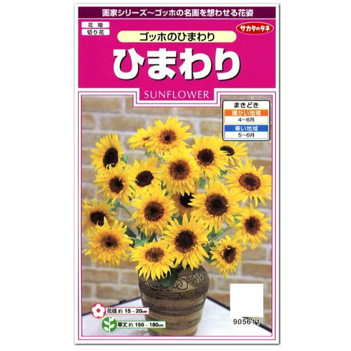 楽天市場 サカタのタネ ゴッホのひまわり 種 花壇 切り花 草花 向日葵 かわいい ひまわり たね タネ 種子 ガーデニング ガーデニングと雑貨の菜園ライフ
