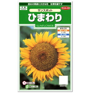 ひまわり 花壇 種の人気商品 通販 価格比較 価格 Com ひまわり 花壇 種の人気商品 通販 価格比較 価格 Com