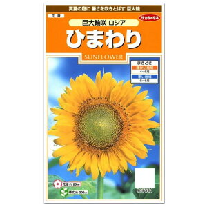 ひまわり 花壇 種の人気商品 通販 価格比較 価格 Com
