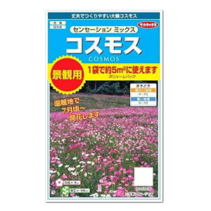 コスモス 花壇 Diy 工具の人気商品 通販 価格比較 価格 Com コスモス 花壇 Diy 工具の人気商品 通販 価格比較 価格 Com