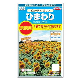 楽天市場 パック 花 一輪の通販 楽天市場 パック 花 一輪の通販