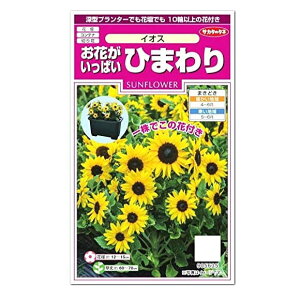 サカタのタネ ひまわりの人気商品 通販 価格比較 価格 Com サカタのタネ ひまわりの人気商品 通販 価格比較 価格 Com
