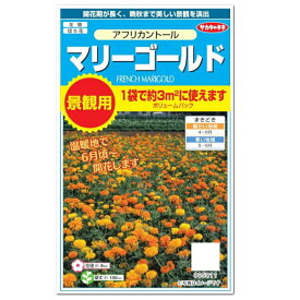 景観用 サカタのタネ マリーゴールド アフリカントール 景観用大袋 種 花壇 プランター 切り花 草花 たね 種子 大袋 マンジュギク