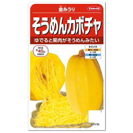 サカタのタネ そうめんカボチャ 金糸うり 種 家庭菜園 南瓜 種子 かぼちゃ タネ たね 夏野菜