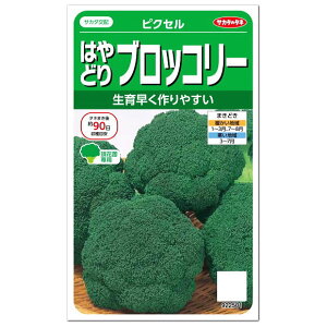 TJ^̃^l ͂ǂubR[ sNZ  ƒ؉ ΉFN XtHt@ ubR[̃^l  q