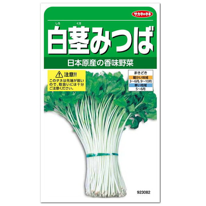 楽天市場 サカタのタネ 白茎みつば 種 プランター栽培 青みつば白 ミツバ タネ たね 種子 簡単 白茎三つ葉 香味野菜 ガーデニングと雑貨の菜園ライフ