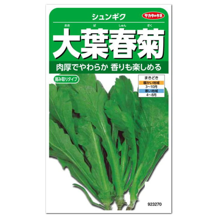 楽天市場 サカタのタネ 大葉春菊 種 家庭菜園 プランター栽培 キクナ しゅんぎく たね タネ 緑黄色野菜 シュンギクの種子 ガーデニングと雑貨の 菜園ライフ