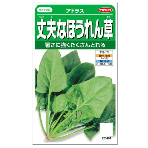 TJ^̃^l vȂق AgX  ƒ؉ v^[͔| ق񂻂  @@ zE\Ẽ^l