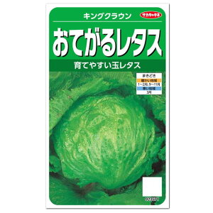 TJ^̃^l Ă郌^X LONE  ƒ؉ ^X̃^l  勅 傫  ͔|  q