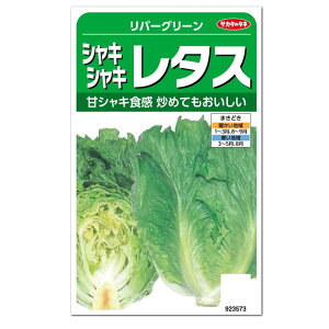 TJ^̃^l VLVL^X o[O[  ƒ؉ ^X̃^l   