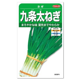 楽天市場 九条 太 ねぎ 栽培の通販 楽天市場 九条 太 ねぎ 栽培の通販