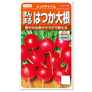 大根 プランター 種の人気商品 通販 価格比較 価格 Com