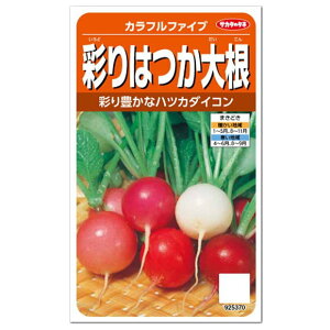 プランター おすすめ 野菜 種の人気商品 通販 価格比較 価格 Com プランター おすすめ 野菜 種の人気商品 通販 価格比較 価格 Com
