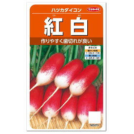 楽天市場 はつか大根 栽培 プランターの通販