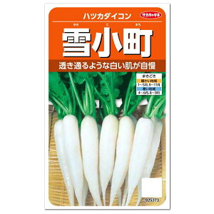 プランター 野菜 種の人気商品 通販 価格比較 価格 Com