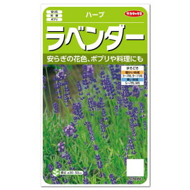 楽天市場 種 多年草の通販