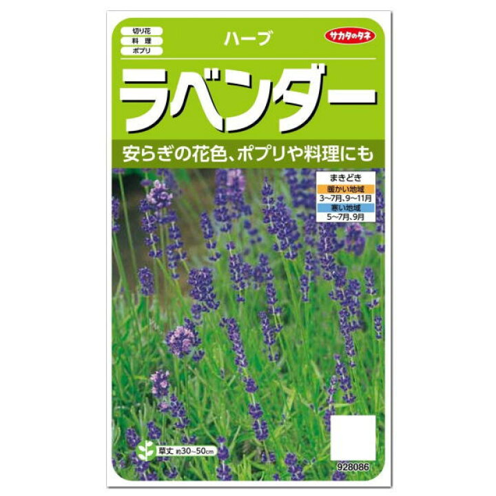 楽天市場 サカタのタネ ハーブ ラベンダー 種 多年草 家庭菜園 料理用 シソ科 たね 種子 Herb ガーデニングと雑貨の菜園ライフ