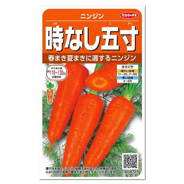 楽天市場 サカタのタネ 時なし五寸 ニンジン 種 家庭菜園 人参 ニンジンのタネ 健康野菜 たね ガーデニングと雑貨の菜園ライフ 楽天市場 サカタのタネ 時なし五寸 ニンジン 種 家庭菜園 人参 ニンジンのタネ 健康野菜 たね ガーデニングと雑貨の菜園ライフ