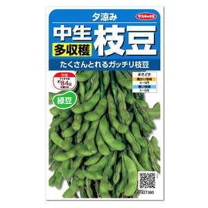 プランター 野菜 夏 種の人気商品 通販 価格比較 価格 Com
