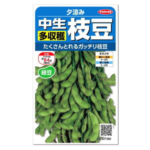 プランター 野菜 夏 種の人気商品 通販 価格比較 価格 Com プランター 野菜 夏 種の人気商品 通販 価格比較 価格 Com