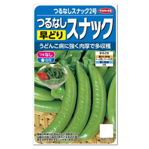 TJ^̃^l ȂǂXibN ȂXibN2  q  ƒ؉  ͔| ǂ Xibv GhẼ^l