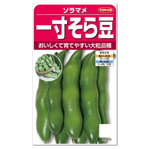 TJ^̃^l ꐡ瓤  ƒ؉ \} ܂ \  瓤̃^l 