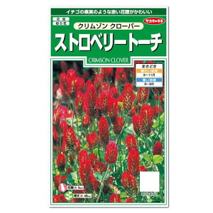 クローバー 種の人気商品 通販 価格比較 価格 Com クローバー 種の人気商品 通販 価格比較 価格 Com
